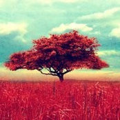 Akvile Stonkute's photo