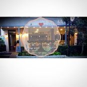 Can Haseki's photo