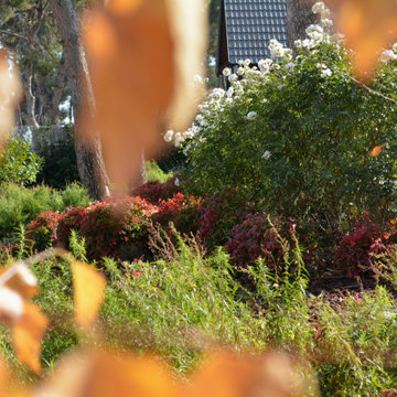 Symmetrical garden