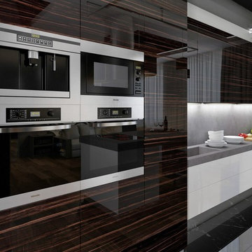High Gloss Veneer Cabinet Doors