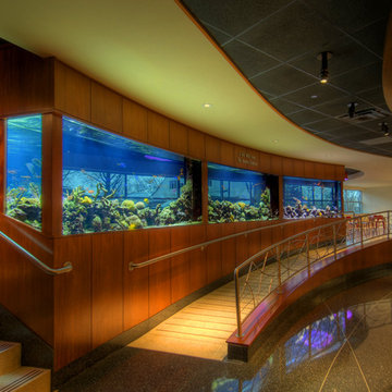 2,700 gallon living coral reef aquarium – Hackensack, NJ