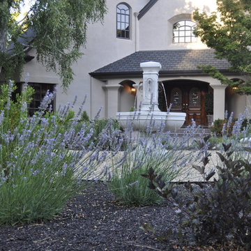 Drought Tolerant 1