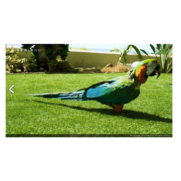 Pet Turf