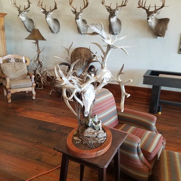 Hanging Deer Mounts and More