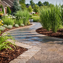 landscaping plants