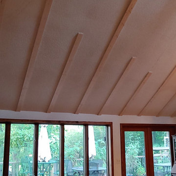 North Side Ann Arbor Cedar Ceiling