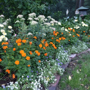 Pederson Garden