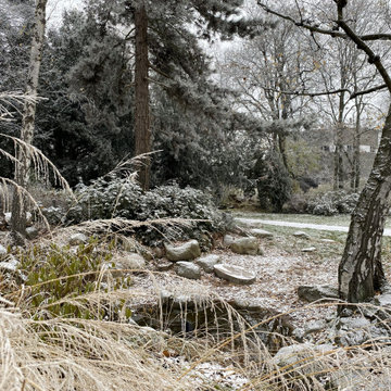 Wilson Park