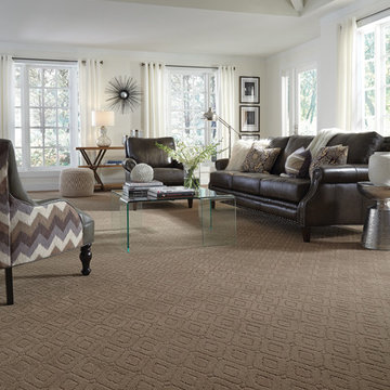 Living Room Scenes