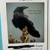 Have you ever attended a Death Cafe discussion group?