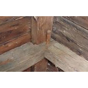 Adam Ackor's photo