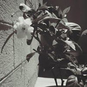 Alejandra's photo
