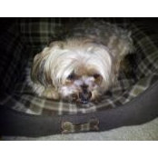 Kristin Ostrowski's photo