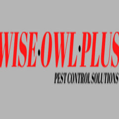 Wise Owl Plus