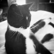 Faith Quinlan's photo