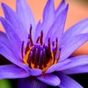 Carolyn Moore's photo
