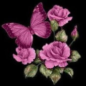 Cindy Wright's photo