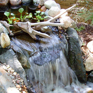 Waterfalls and Streams