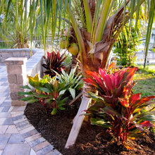 Pool And Landscape ideas Spanish Wells