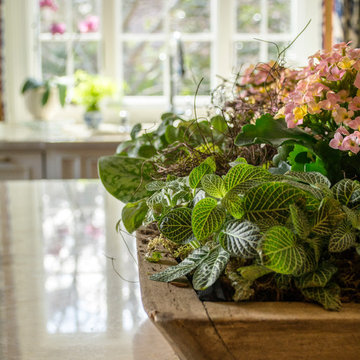 Raven Road Kitchen Renovation
