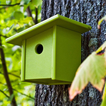 For the Love of Birds
