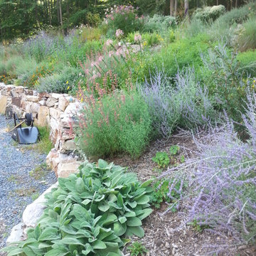 Naturescape and Edible Forest Garden