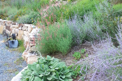 Photo of a rustic landscaping in Baltimore.
