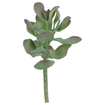 Lotus Succulent (Pack Of 12)