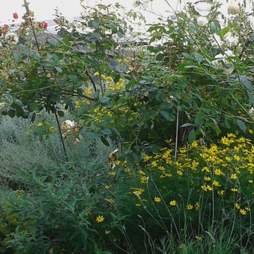 Garten für Mehrgenerationenhaus