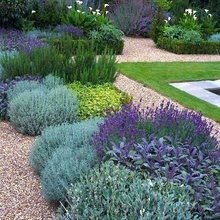 Landscape Ideas