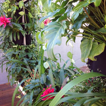 Vertical Garden