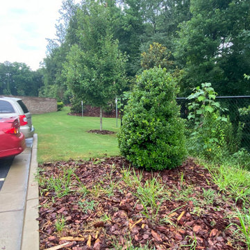 Mulch