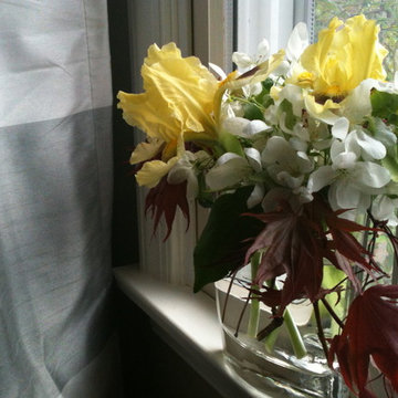 Cut Flowers from the Garden