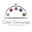 The Color Concierge