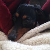 Rebecca Leeson's photo