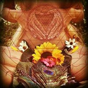 Laura Haris's photo