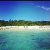 Norge Miotta's photo