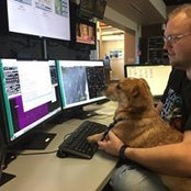 Wesley Hovorka's photo