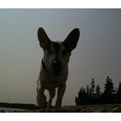 Sarah Doremus's photo
