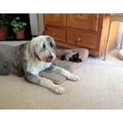 Cathy Cole's photo