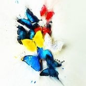 Alessandra Farinet's photo