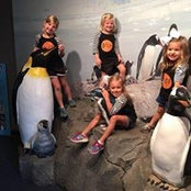Beverly Barron's photo