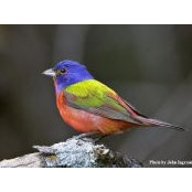 Pamela Machino's photo