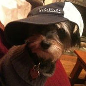 Aimee Reinard's photo