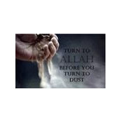 Foto von Junaid Pitthoo