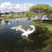 Foto von Cristobal Roda