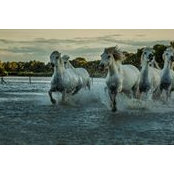 Pauline Grech's photo