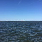 Sharon Johnson's photo