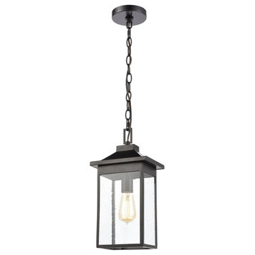 Exposed Bulb One Light Outdoor Rectangular Hanging Lantern - Transition Outdoor