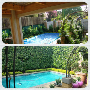 secret gardens
